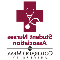 学生护士协会标志